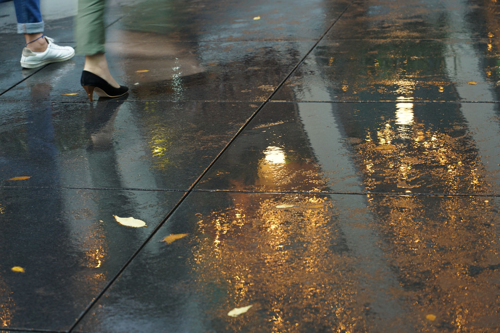 雨の銀座散歩