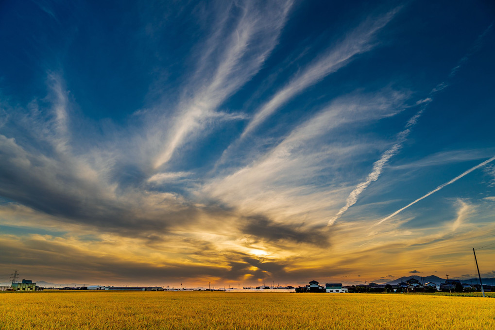 田んぼと空と夕焼けと