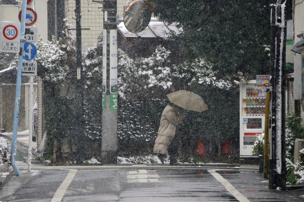 雪を歩く