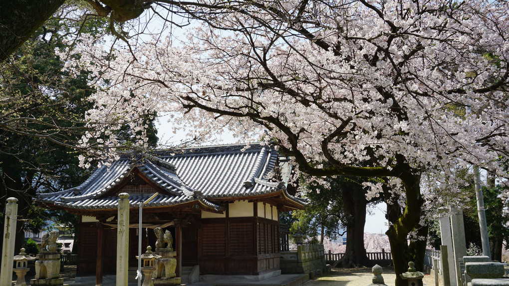 石戸八幡神社