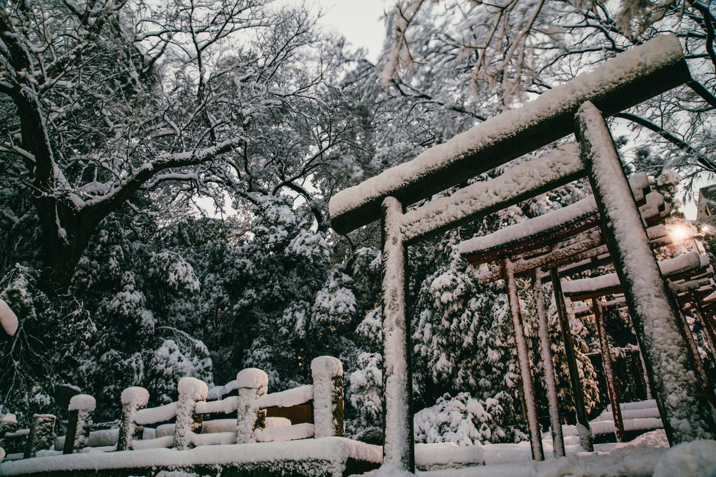 雪の根津神社