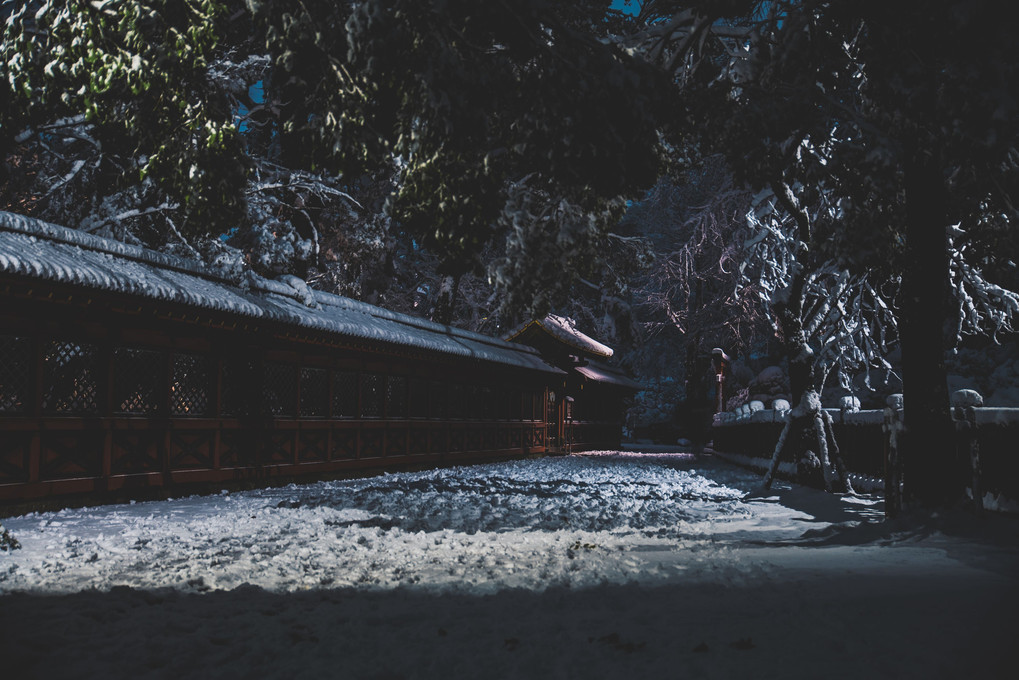 雪の根津神社２