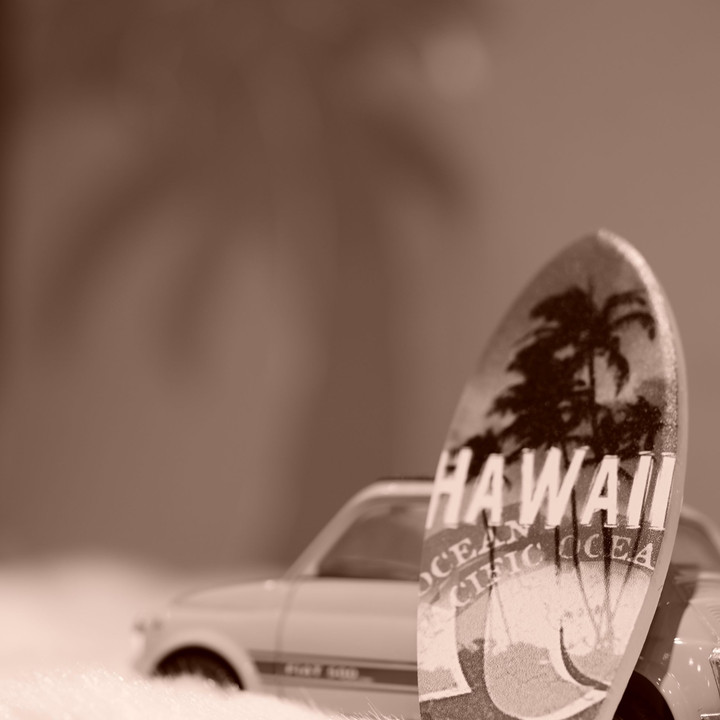 Hawaiiの小物たちを撮る！