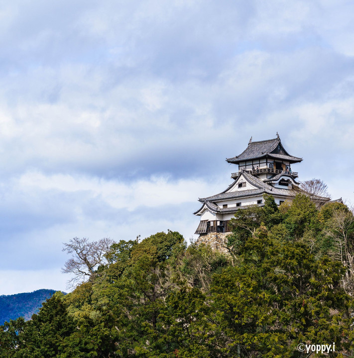 犬山城と天守閣からの景色