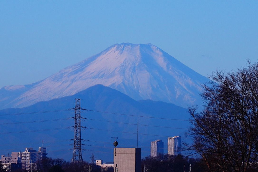 晴朗なり！元朝の富士山  #明けましておめでとうございます#