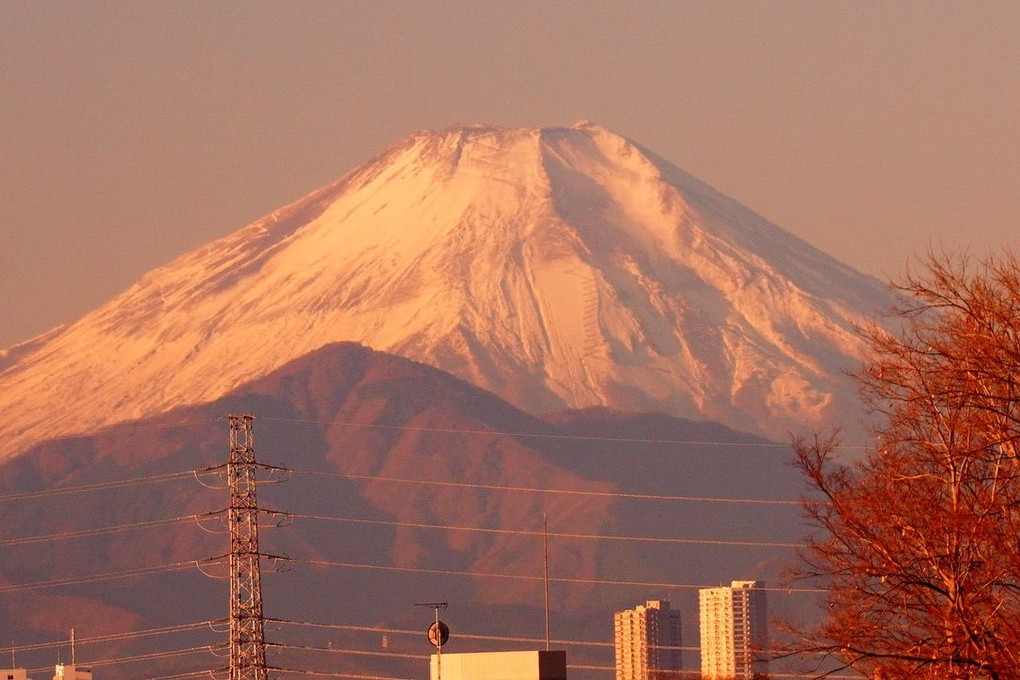 晴朗なり！元朝の富士山  #明けましておめでとうございます#