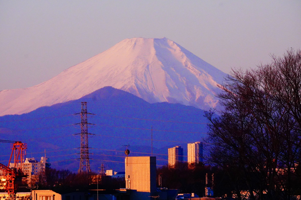 謹賀新年2022　元朝の富士山