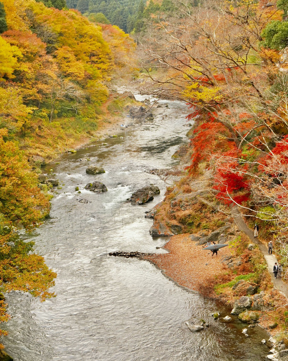 山里の秋！　奥多摩