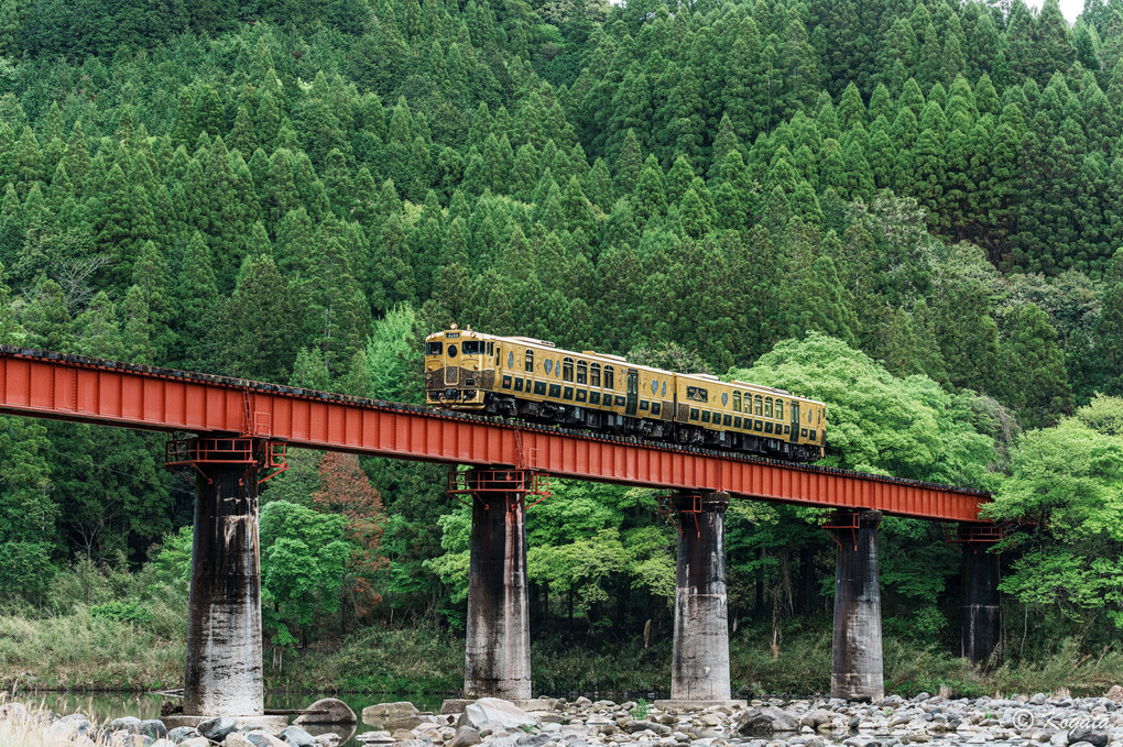 玖珠川を渡る「或る列車」