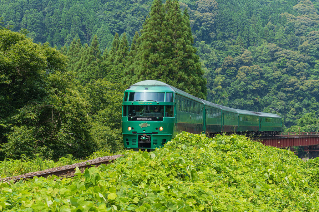Green Train in Green