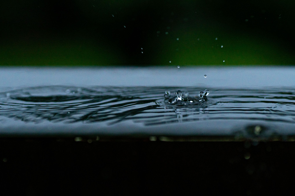 雨も楽しい