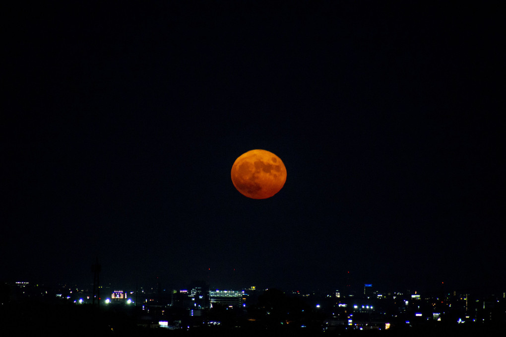 月の夜 -中秋の月-