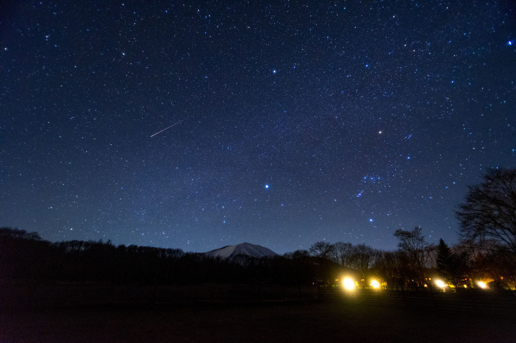 -Time Lapse- ツリーハウスの梢から -2021ふたご座流星群-