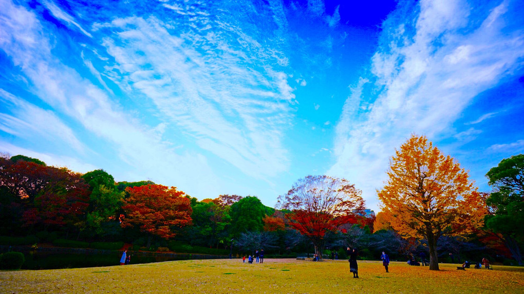 秋の空