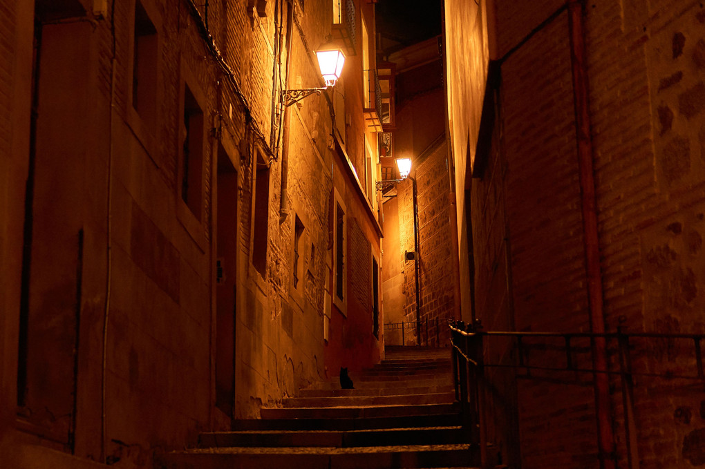 Night Alley with Black Cat - スペイン　トレド
