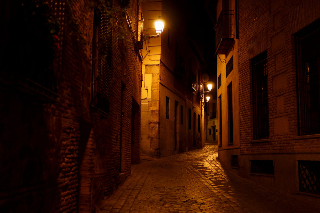 Night Alley with Black Cat - スペイン　トレド