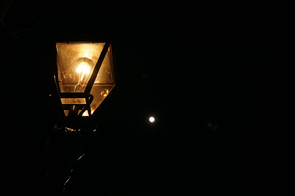 街灯と、月と。