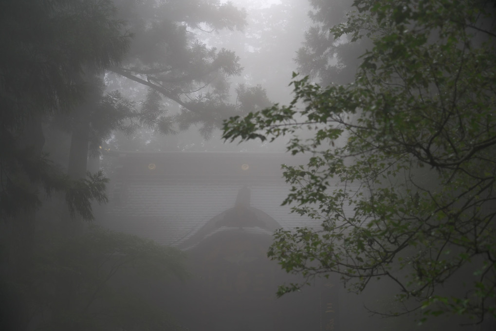 霧に煙る楼門