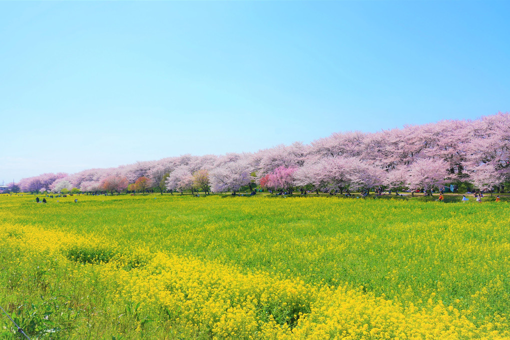 今年もありがとう！！