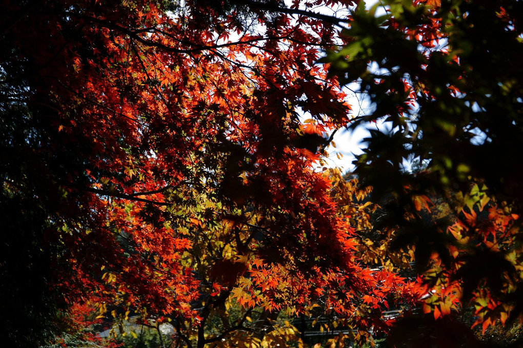 篠山の公園