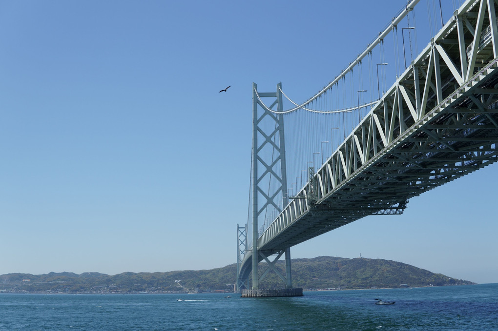 淡路島でお散歩