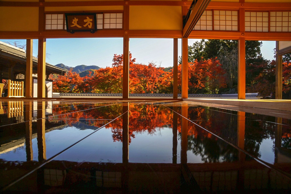 宝徳寺の床もみじ