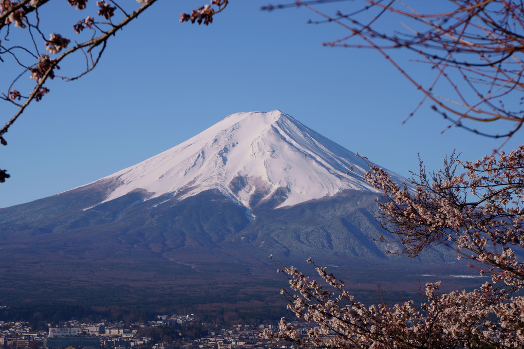 新倉山浅間神社から見た富士山