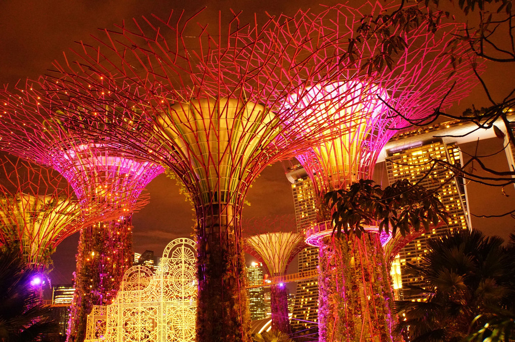 Twilight in Singapore