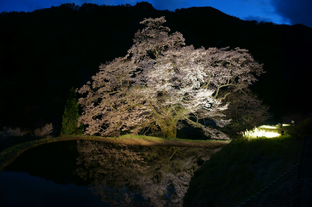 駒つなぎ