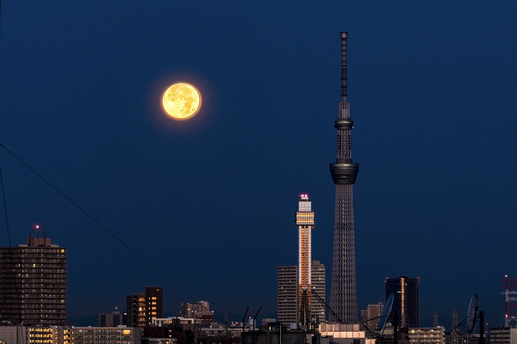 The Cold Moon seen from Chiba perfecture