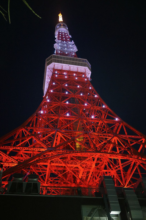 真紅の東京タワー