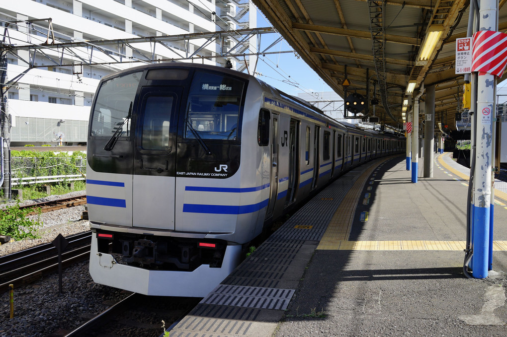 横須賀線E217系 in 大船駅