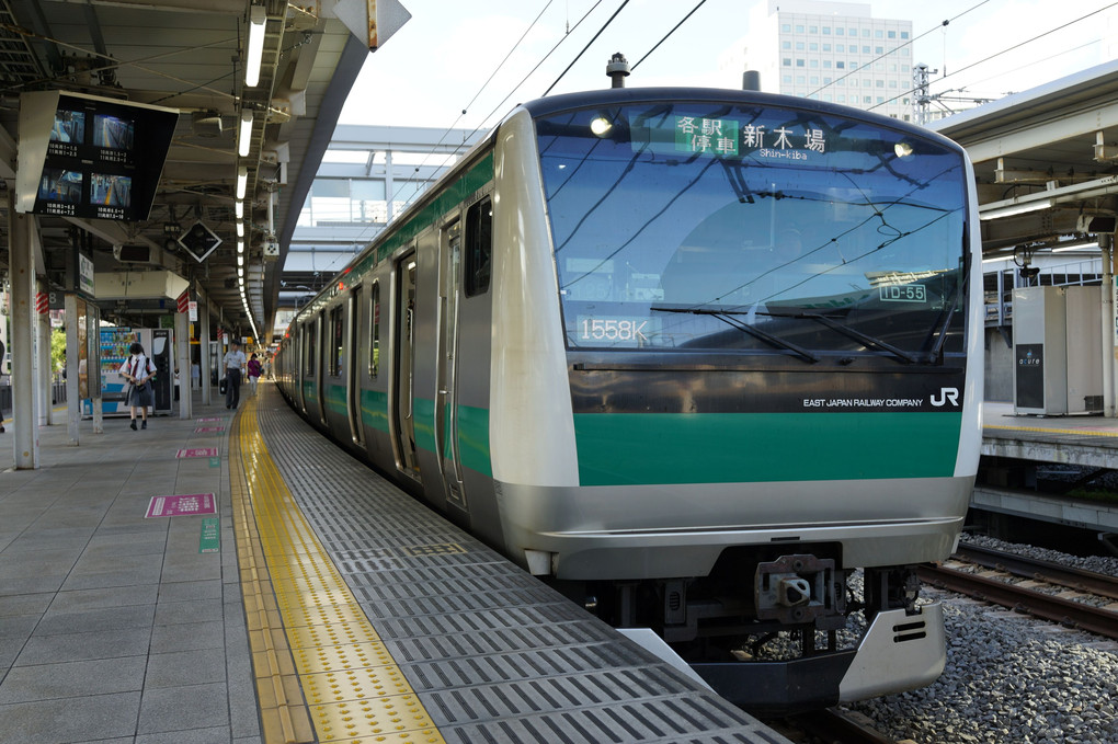 りんかい線のE233系7000番台 in 大崎駅