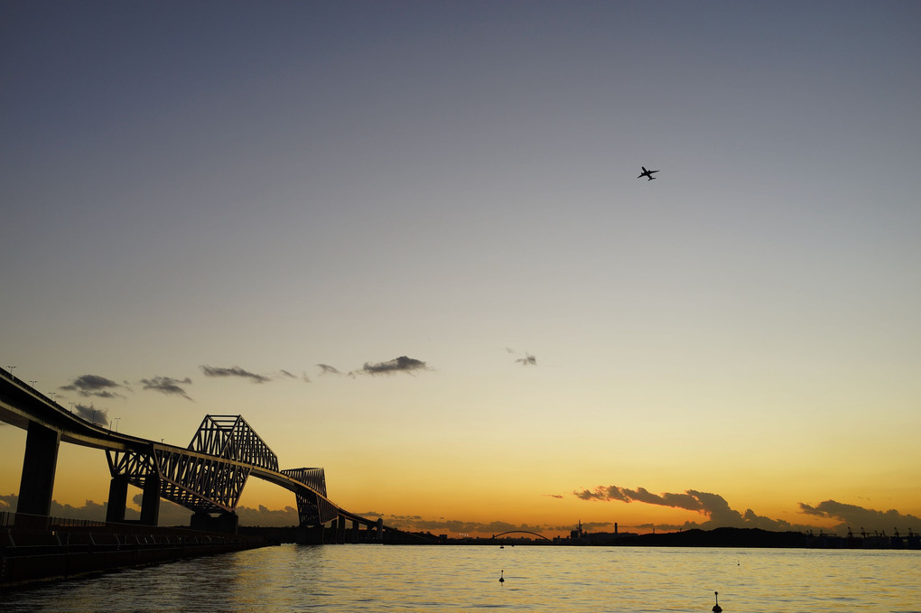 夕焼けの東京ゲートブリッジと飛行機