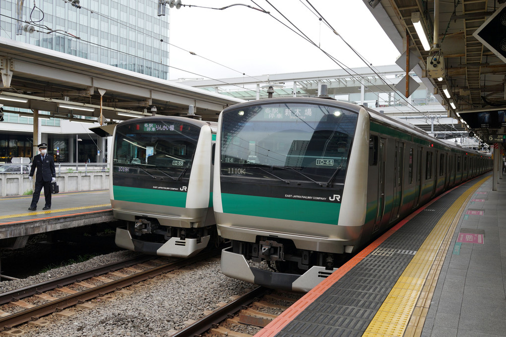 りんかい線のE233系7000番台 in 大崎駅、（2ショット）