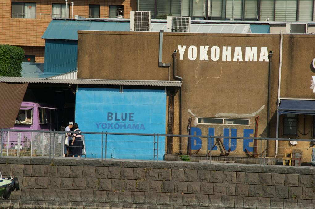 『BLUE☆LIGHT YOKOHAMA』