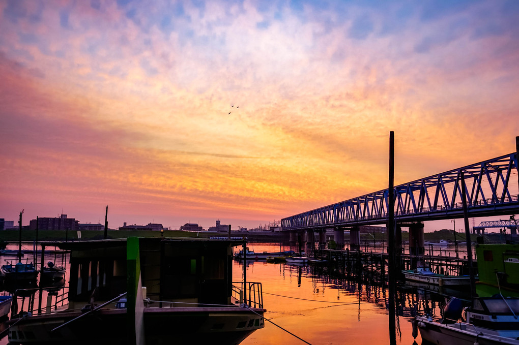 日の出前の江戸川貸船屋と東西線橋梁