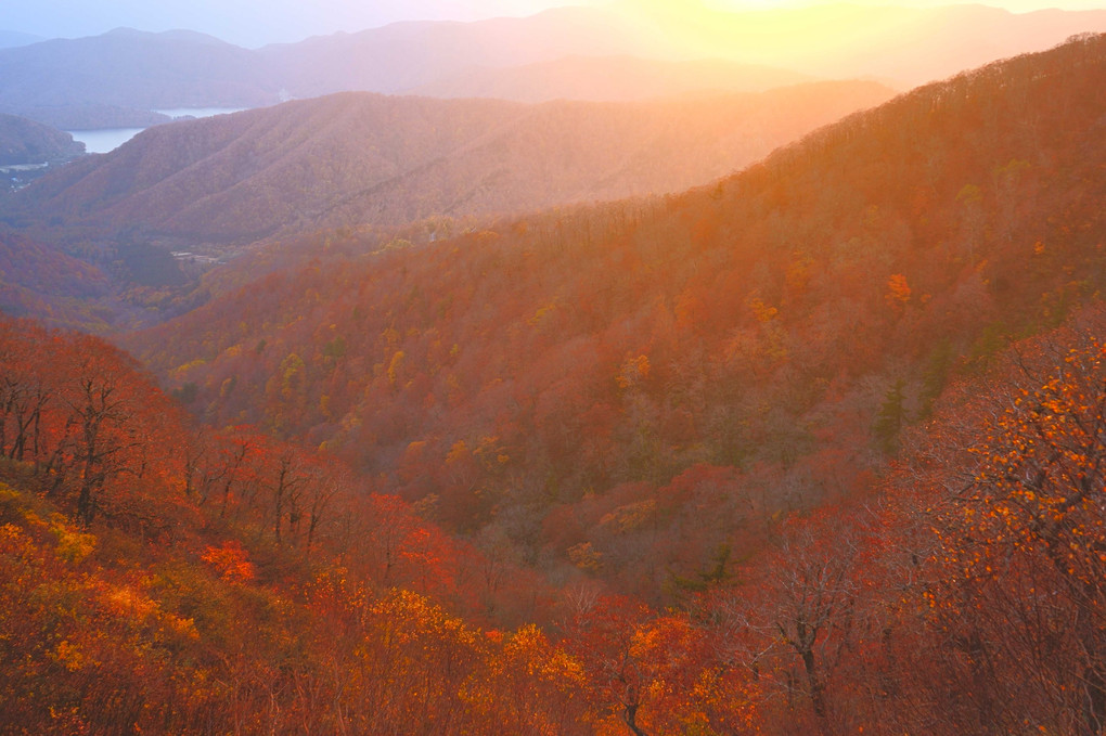 夕陽が照らし出す山間の晩秋色