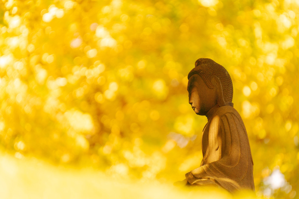 瞑想の秋