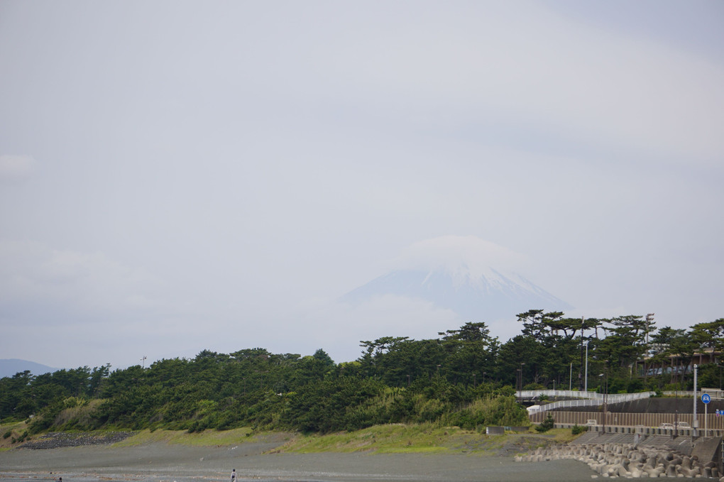 富士山