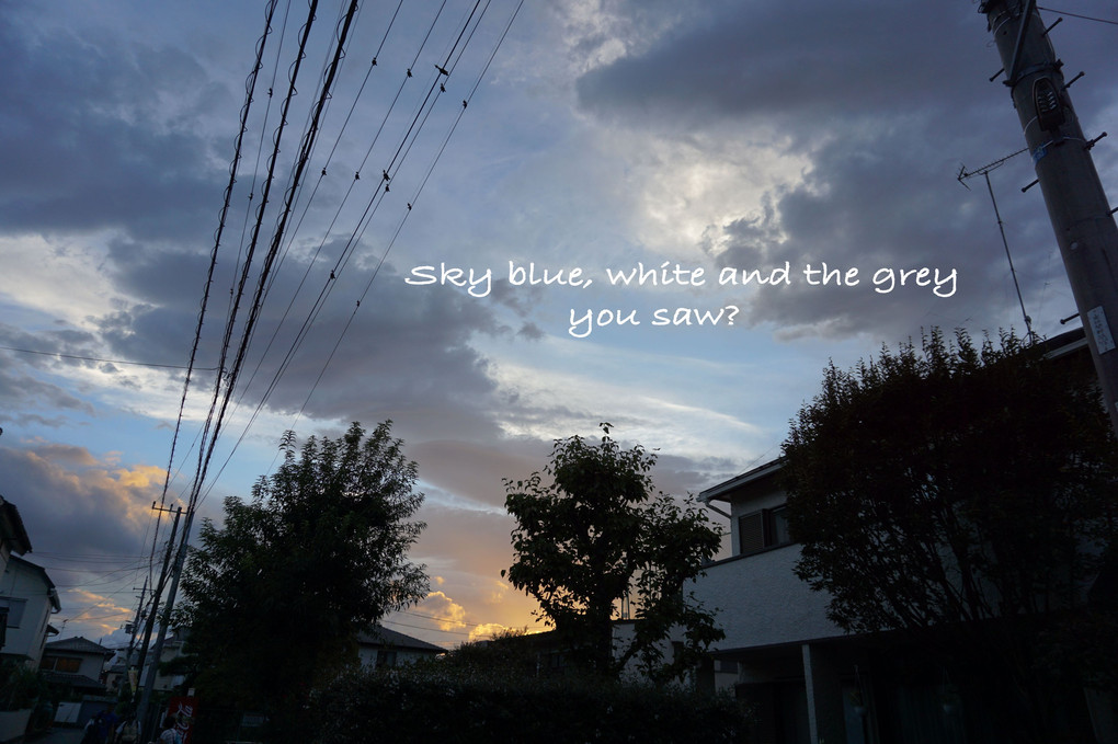 青と白とグレイと。