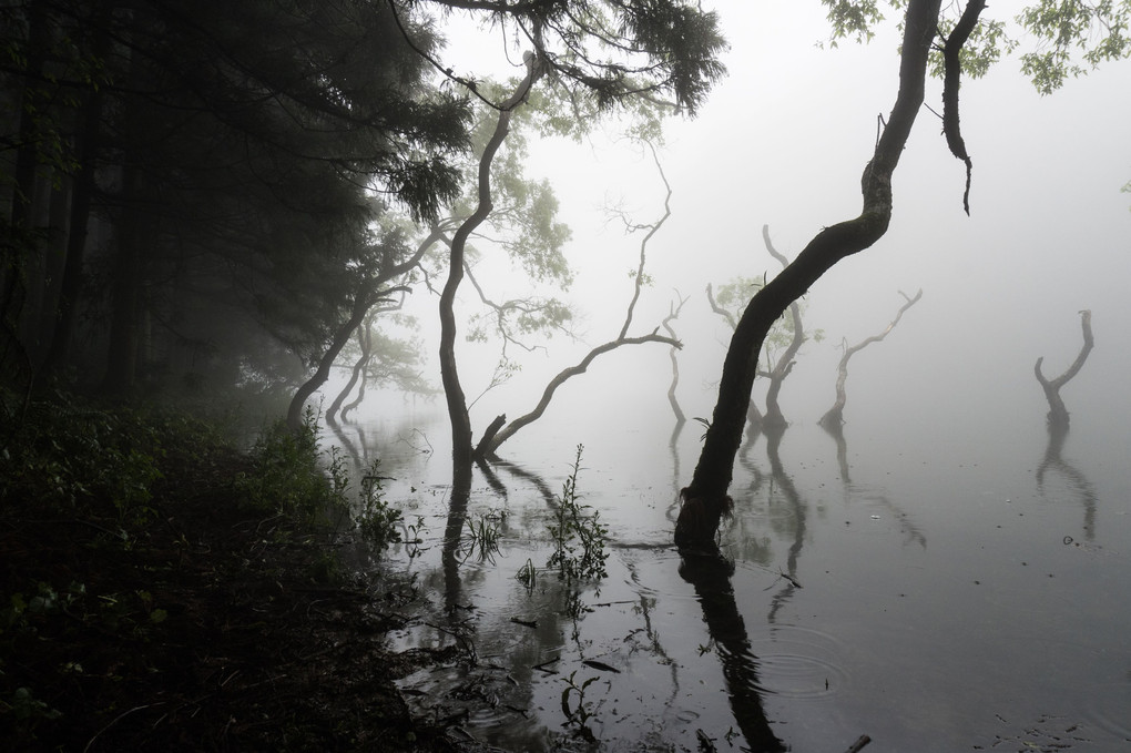 霧の糸島雷山不動池