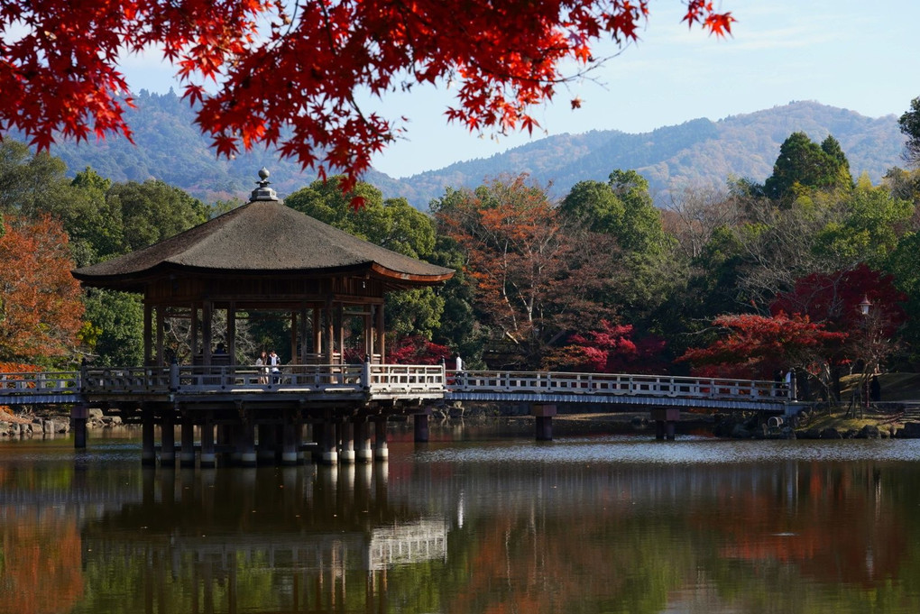 紅葉と奈良公園の浮見堂