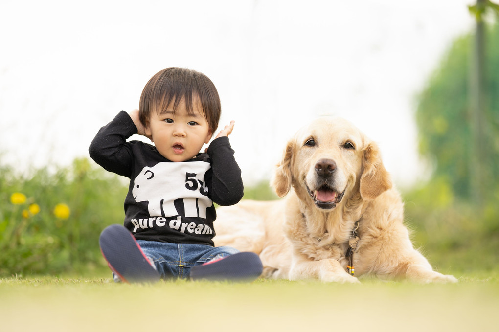 １歳と１１歳