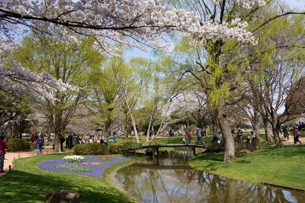 昭和記念公園