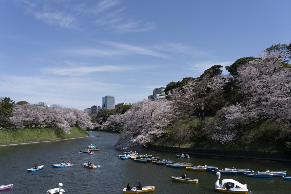 皇居へ