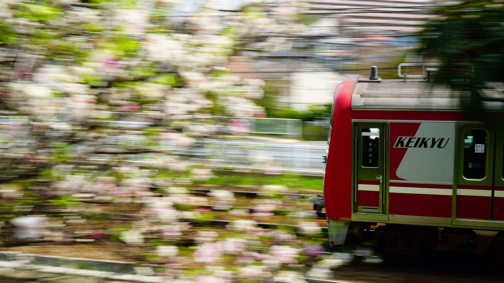 春道を駆ける赤い電車