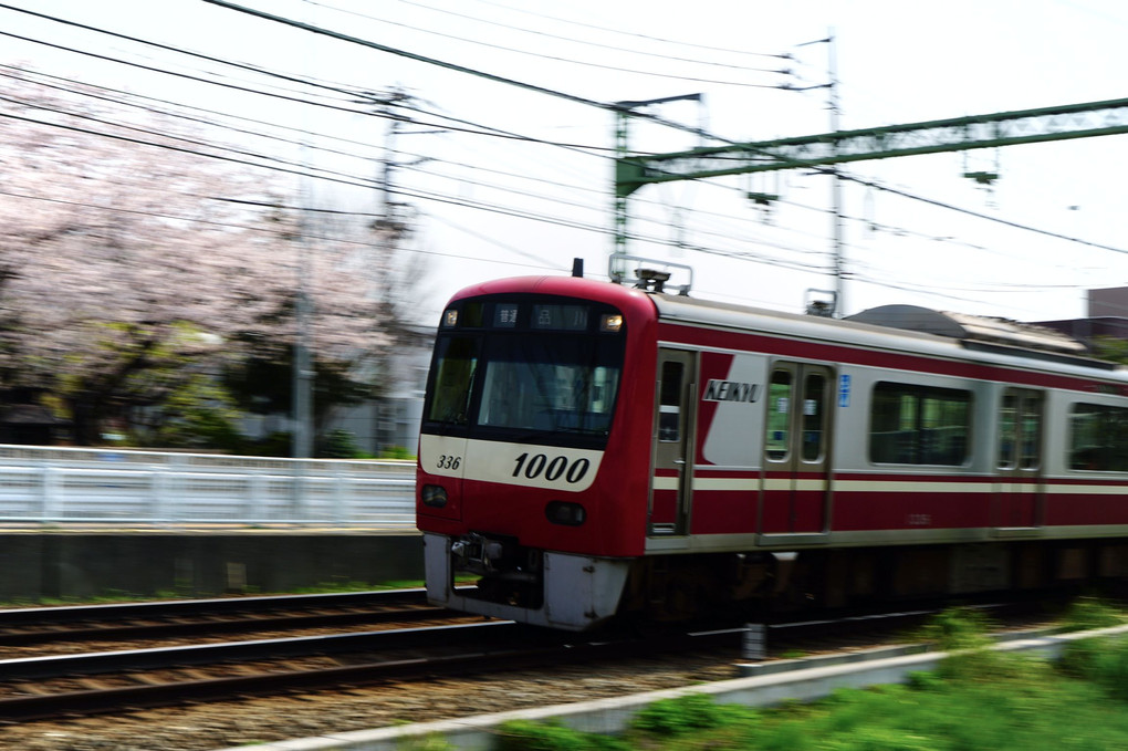 春道を駆ける赤い電車