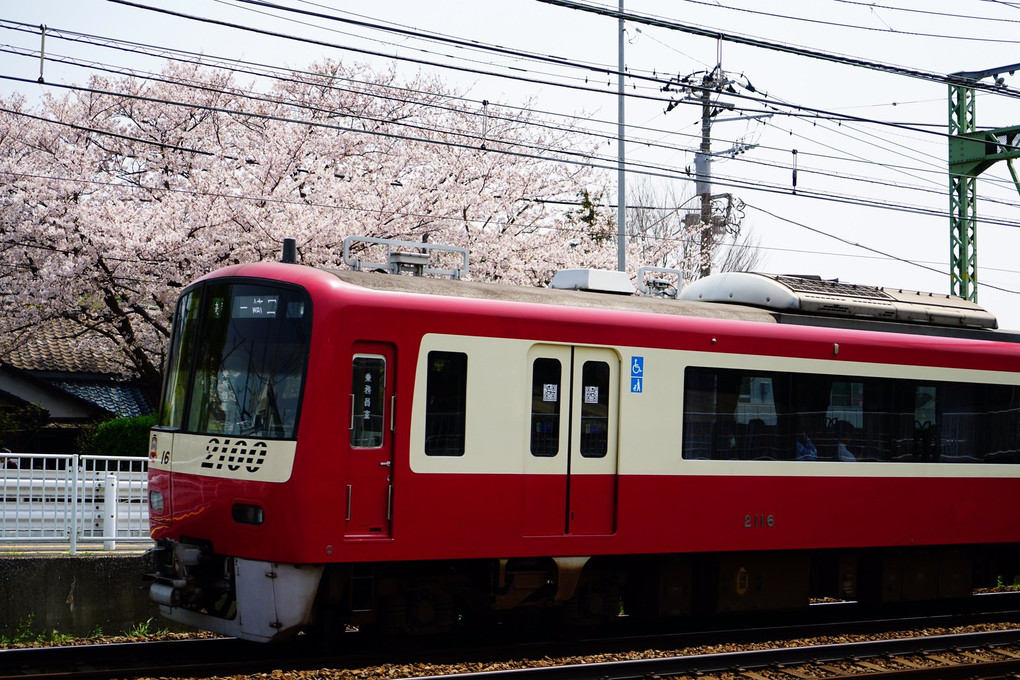 春道を駆ける赤い電車