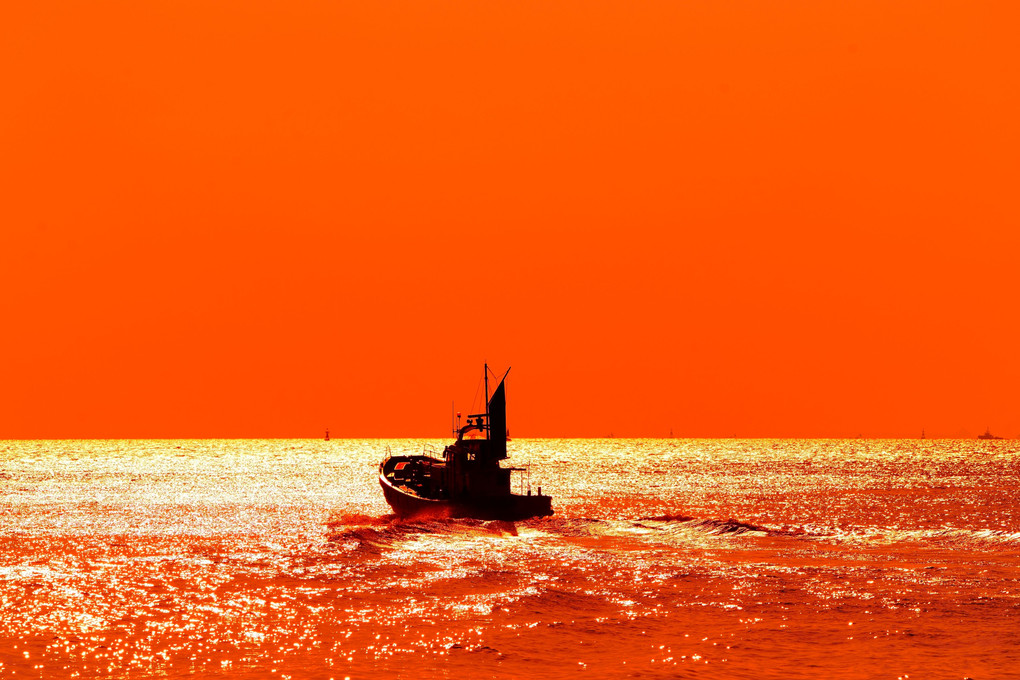 OO_Orange Ocean